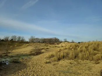 Oostnieuwkerke duinen wandeling in de koude (België)